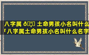 八字属 🦉 土命男孩小名叫什么「八字属土命男孩小名叫什么名字好听 🦍 」